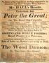 Theatre Royal, Hull - Peter the Great / The Wood Daemon