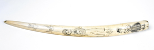 Walrus Tusk - Scrimshaw (image/jpeg)