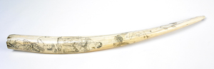 Walrus Tusk - Scrimshaw (image/jpeg)