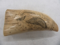 (image/jpeg)