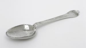 Trefid Rat-Tailed Spoon (image/jpeg)