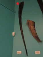 (image/jpeg)
