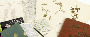 Pressed Plants and Flattened Flowers