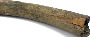mammoth tusk (image/jpeg)