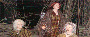 celtic world (image/jpeg)