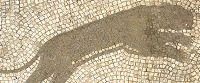 leopard detail (image/jpeg)