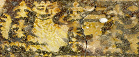Detail from floor tile (image/jpeg)
