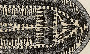 brookes ship poster detail (image/jpeg)