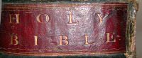 Spine detail (image/jpeg)
