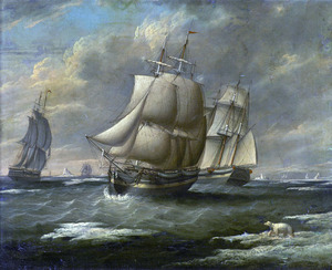 The Liverpool Whaleship,  'Baffin' (image/jpeg)