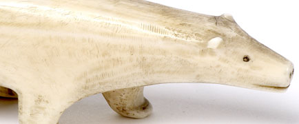 Detail of polar bear model