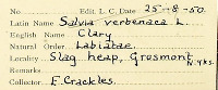 Eva Crackes herbarium label (image/jpeg)