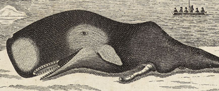 detail from whaling print