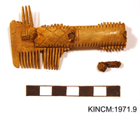 Bone Comb found on Hornsea Cliffs