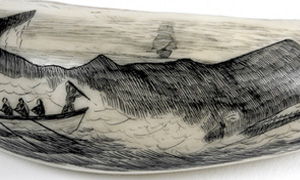 Detail from decorated scrimshaw