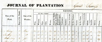 detail from Plantation journal (image/jpeg)