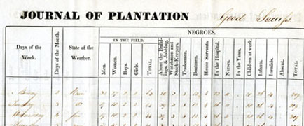 detail from Plantation journal