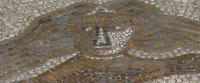 Detail from Venus mosaic (image/jpeg)